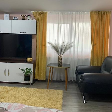 Apartmán Garsoniera Madalina Sibiu Exteriér fotografie