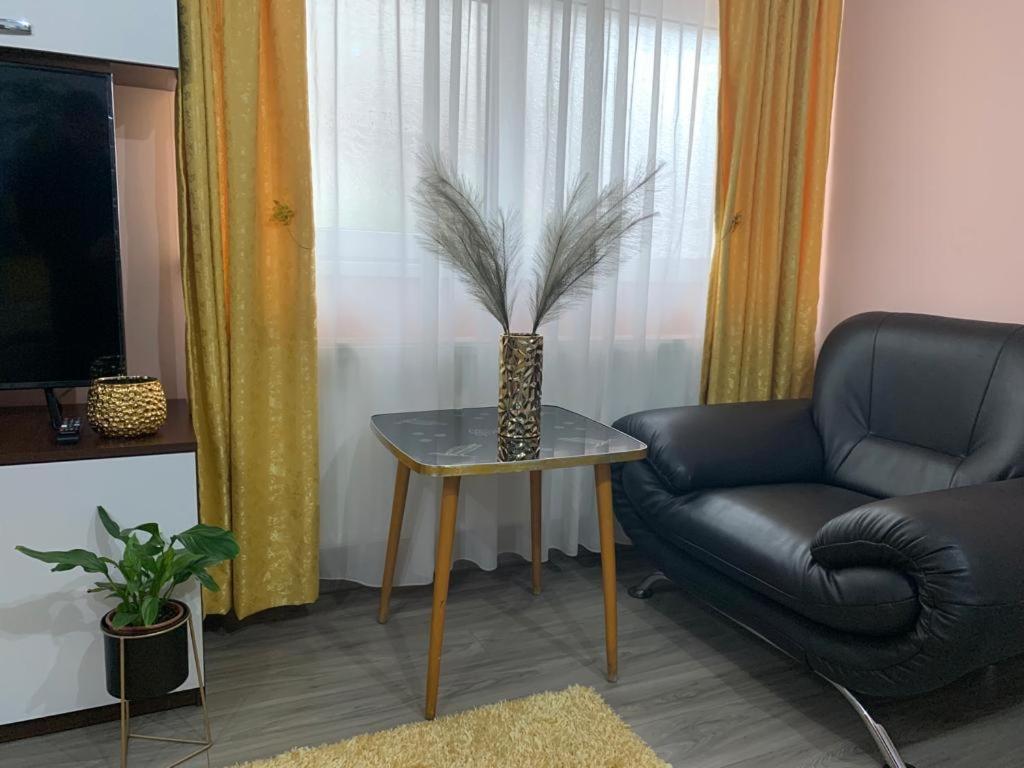 Apartmán Garsoniera Madalina Sibiu Exteriér fotografie