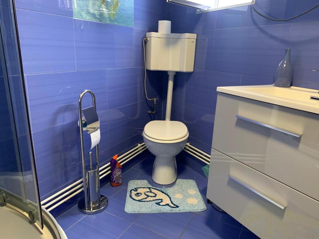 Apartmán Garsoniera Madalina Sibiu Exteriér fotografie