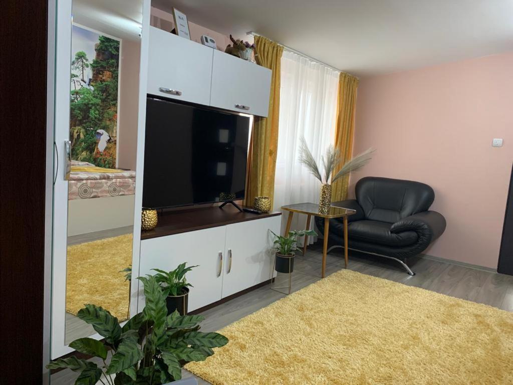 Apartmán Garsoniera Madalina Sibiu Exteriér fotografie