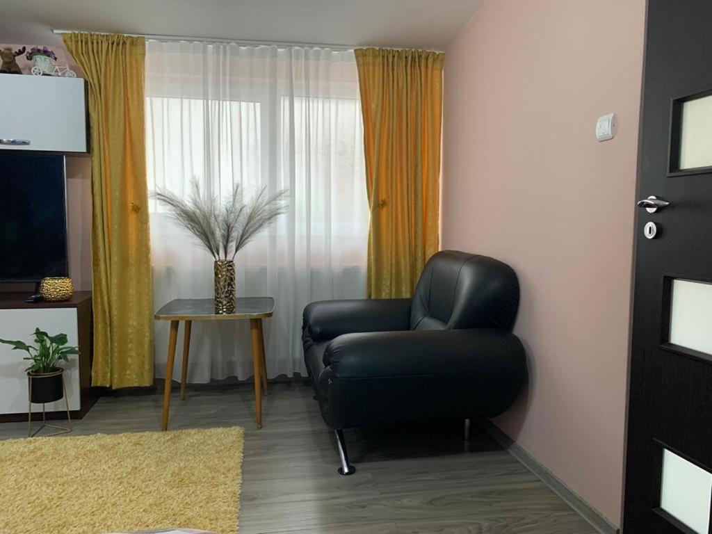 Apartmán Garsoniera Madalina Sibiu Exteriér fotografie