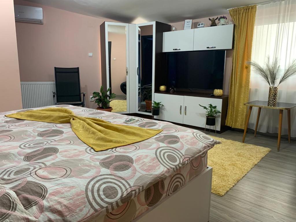 Apartmán Garsoniera Madalina Sibiu Exteriér fotografie