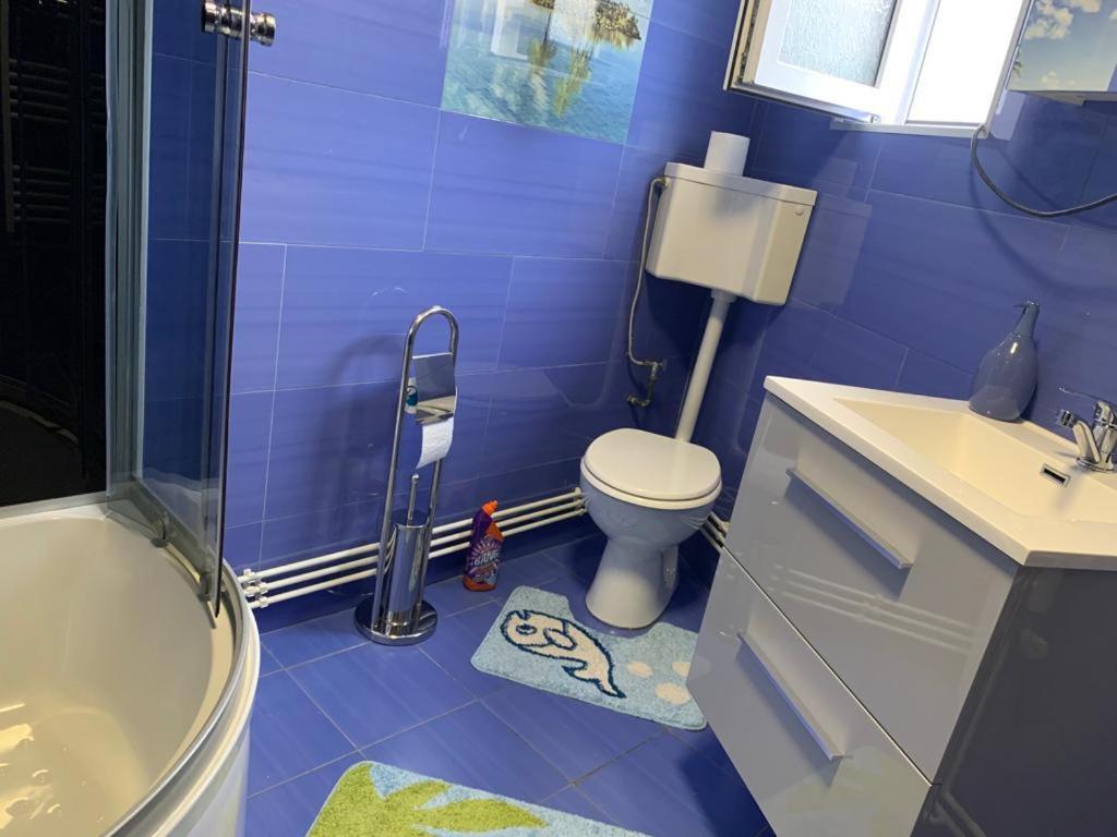 Apartmán Garsoniera Madalina Sibiu Exteriér fotografie